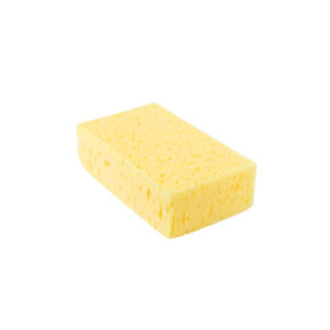 1Z Sponge Large